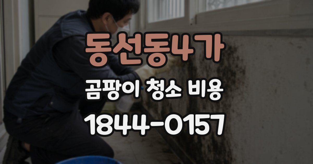 동선동4가 곰팡이 청소 비용