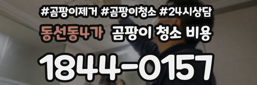 동선동4가 곰팡이 청소 비용