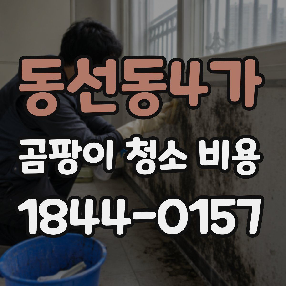 동선동4가 곰팡이 청소 비용