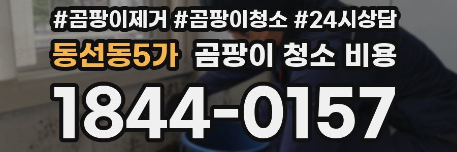 동선동5가 곰팡이 청소 비용