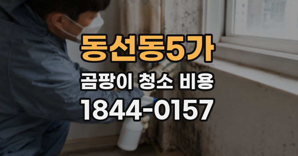 동선동5가 곰팡이 청소 비용