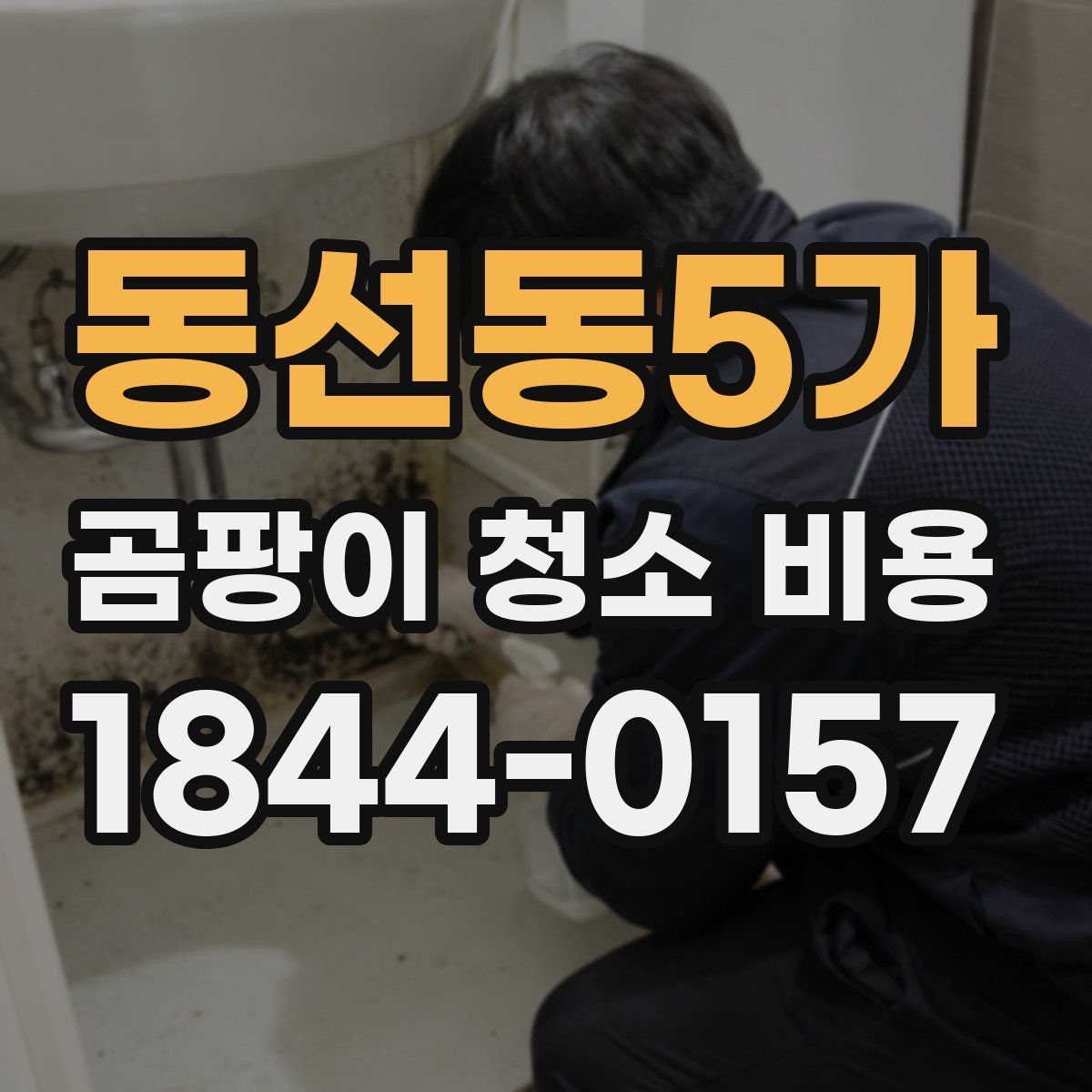 동선동5가 곰팡이 청소 비용