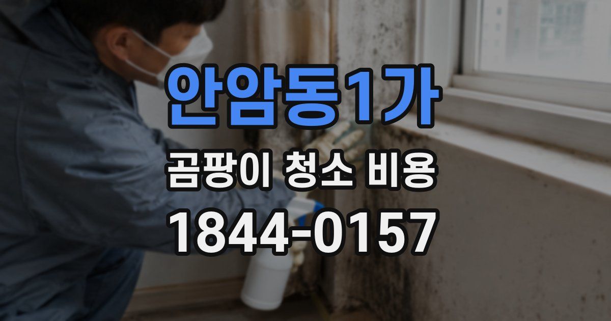 안암동1가 곰팡이 청소 비용