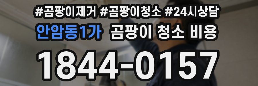 안암동1가 곰팡이 청소 비용