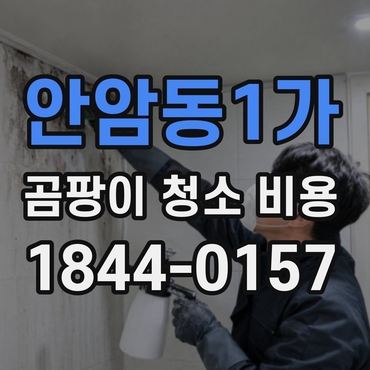 안암동1가 곰팡이 청소 비용