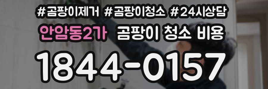 안암동2가 곰팡이 청소 비용