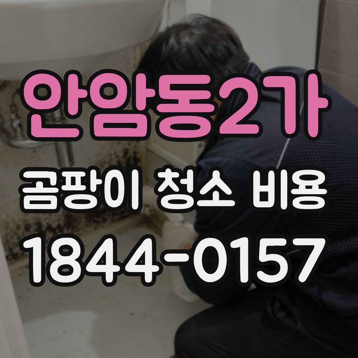 안암동2가 곰팡이 청소 비용
