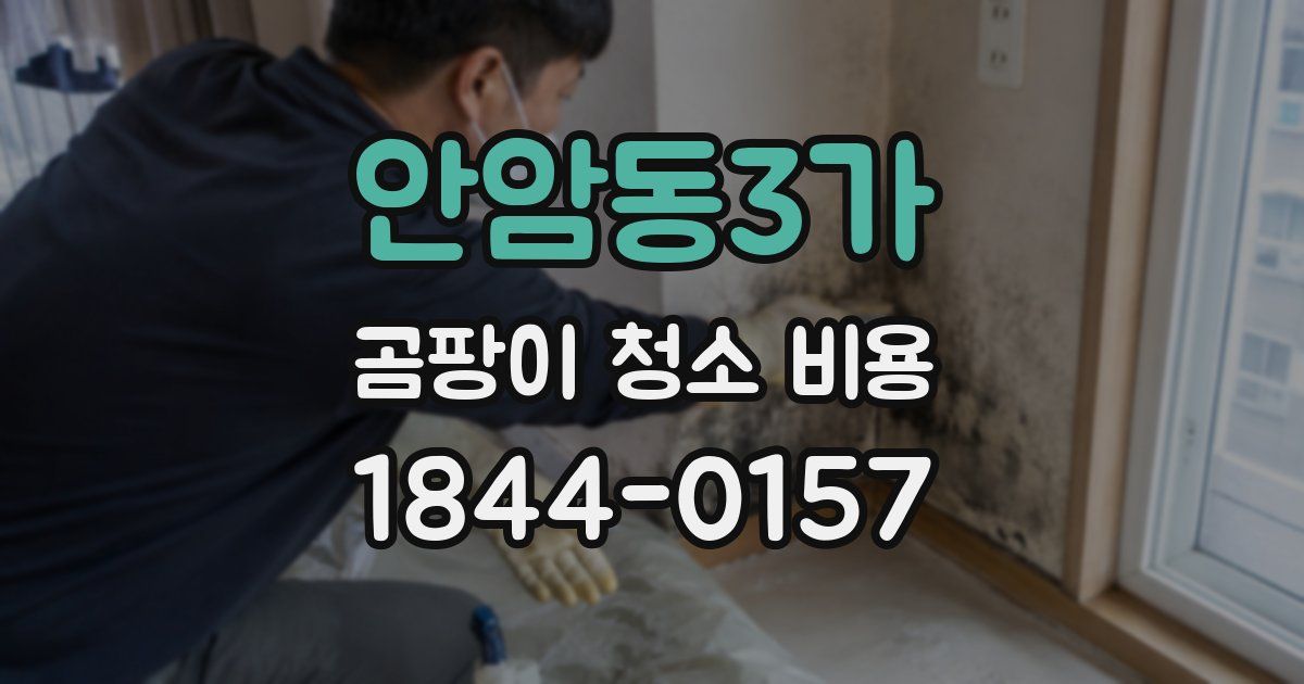 안암동3가 곰팡이 청소 비용