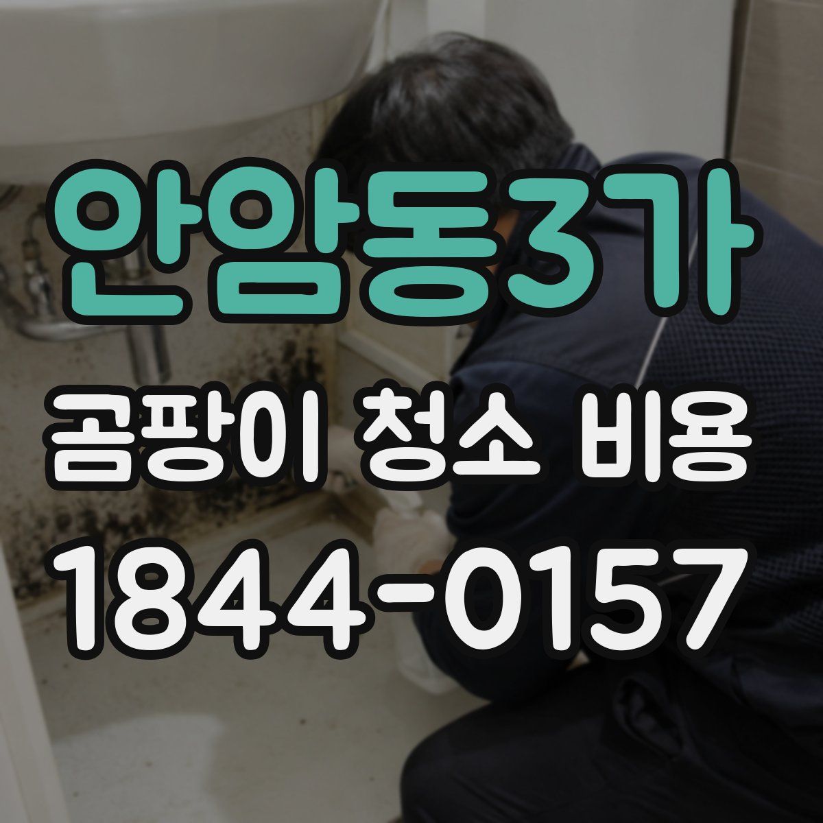 안암동3가 곰팡이 청소 비용