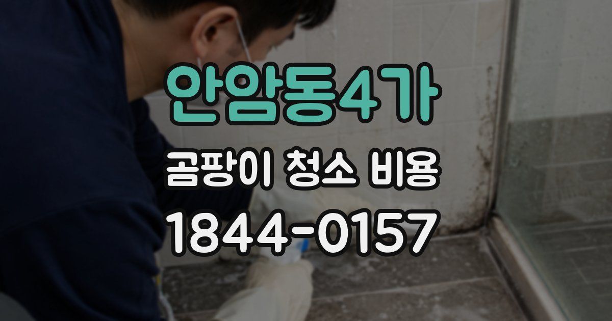 안암동4가 곰팡이 청소 비용
