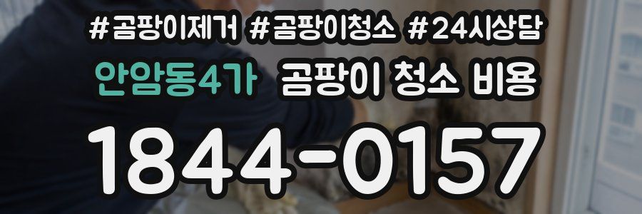 안암동4가 곰팡이 청소 비용