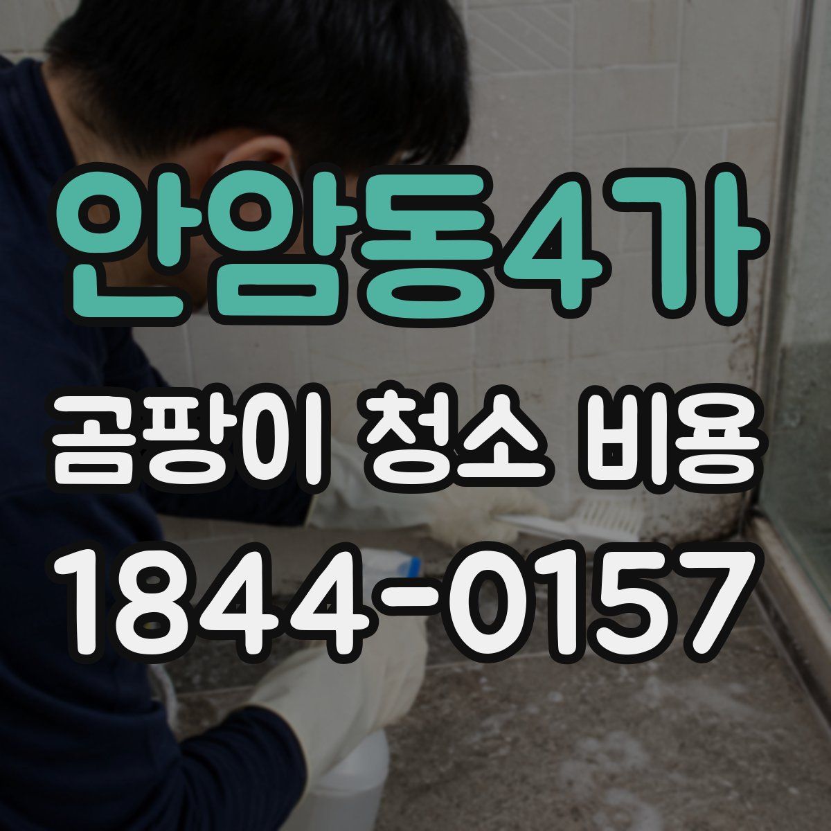 안암동4가 곰팡이 청소 비용