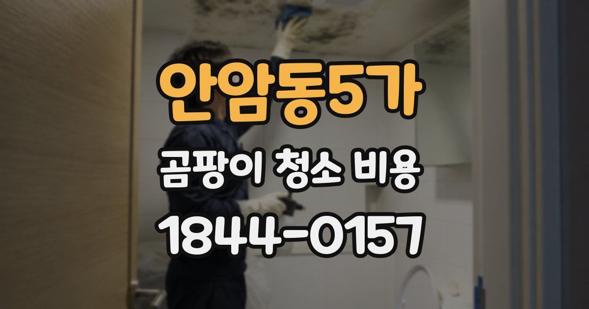 안암동5가 곰팡이 청소 비용