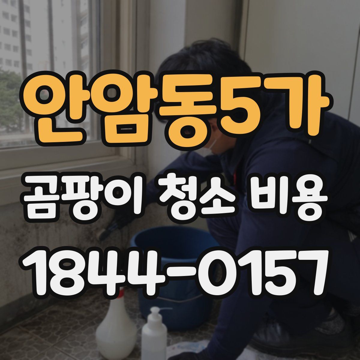 안암동5가 곰팡이 청소 비용
