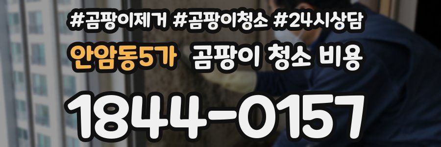 안암동5가 곰팡이 청소 비용