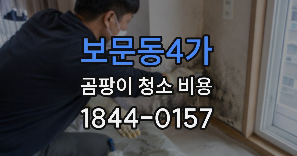 보문동4가 곰팡이 청소 비용