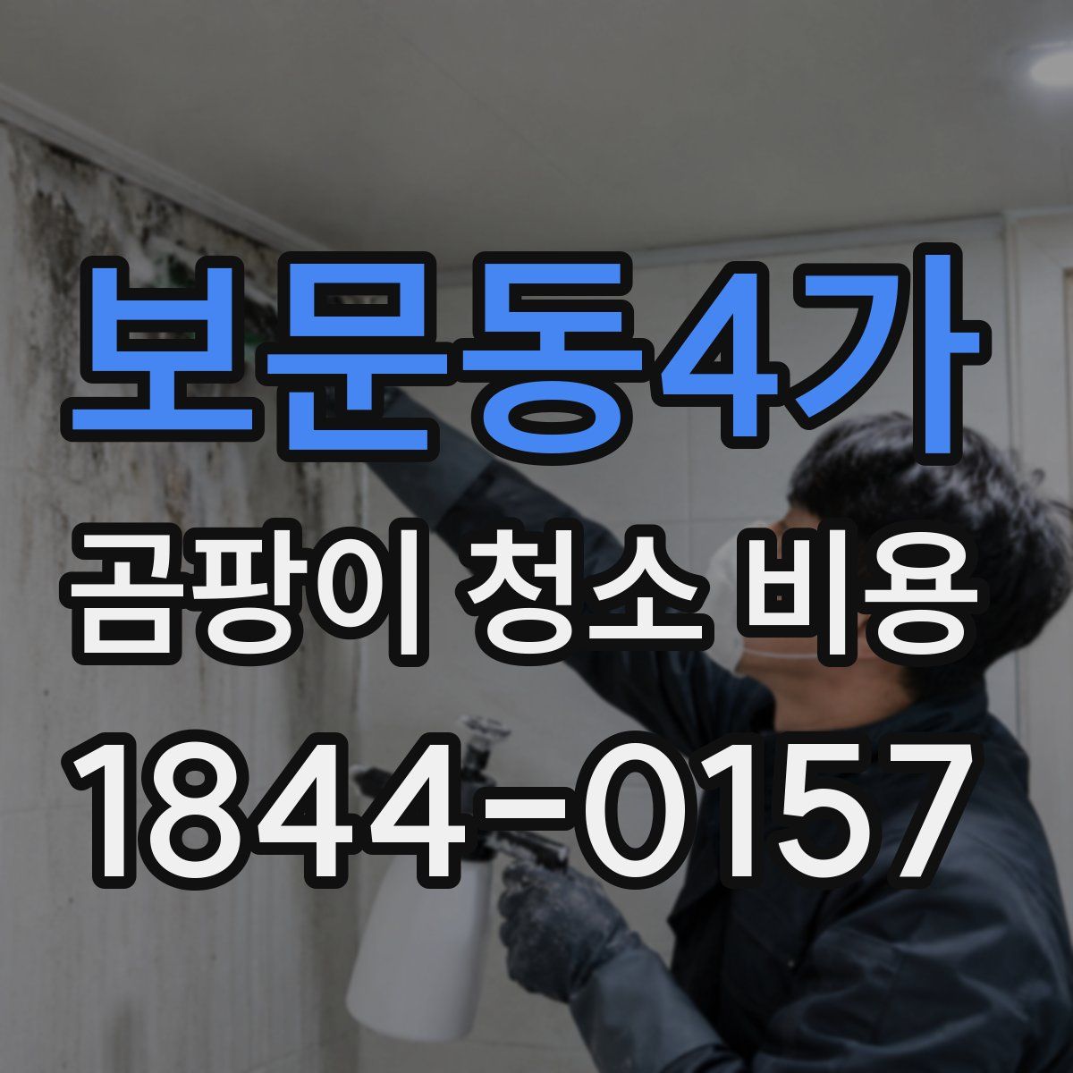 보문동4가 곰팡이 청소 비용