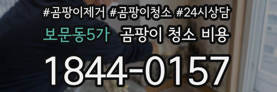 보문동5가 곰팡이 청소 비용
