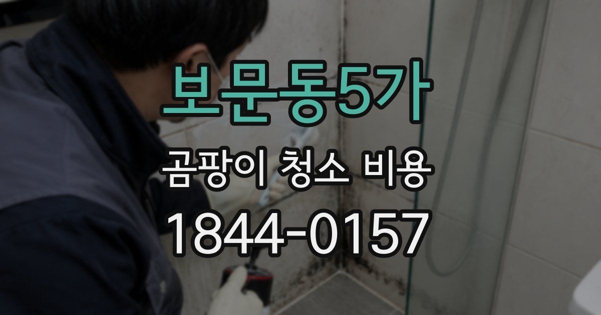 보문동5가 곰팡이 청소 비용