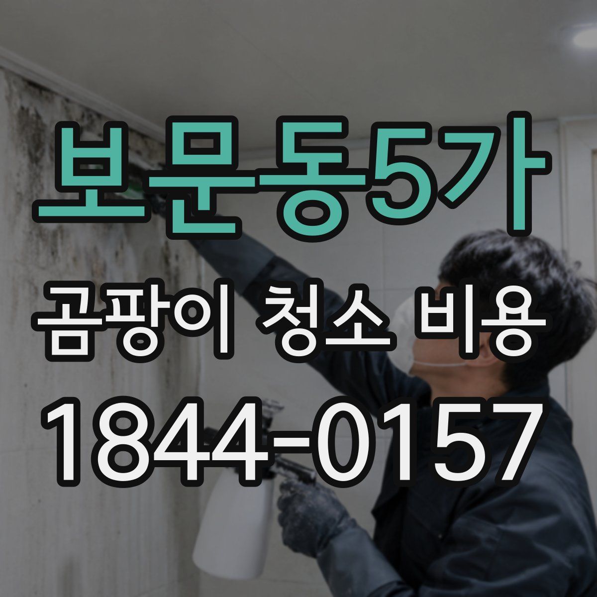 보문동5가 곰팡이 청소 비용