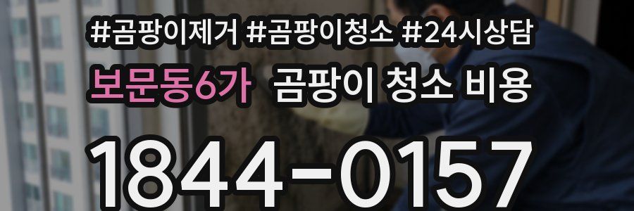 보문동6가 곰팡이 청소 비용
