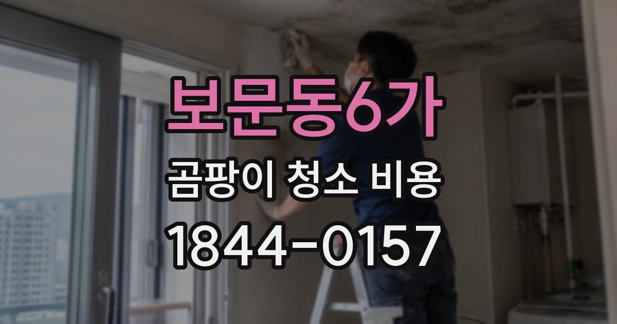 보문동6가 곰팡이 청소 비용