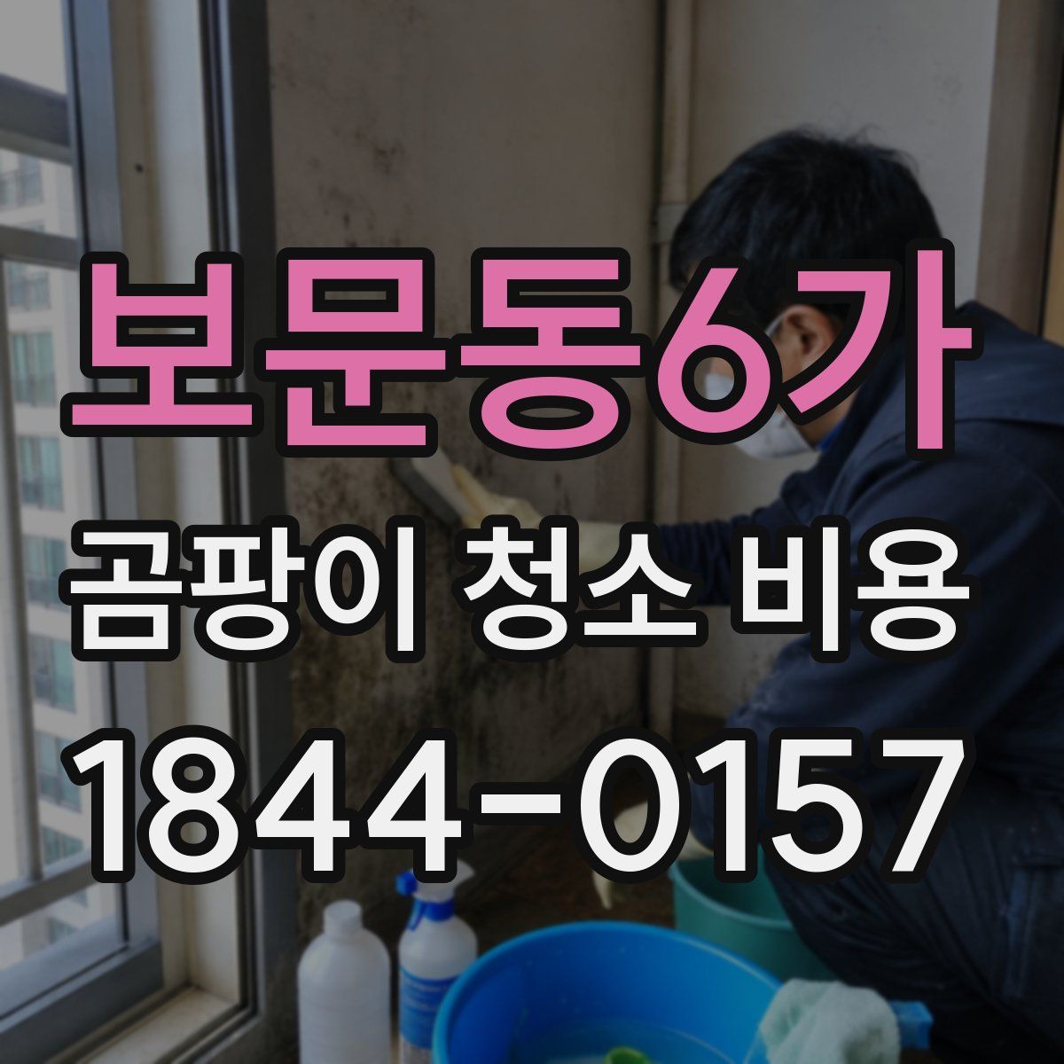 보문동6가 곰팡이 청소 비용