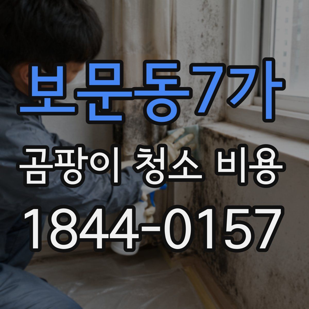 보문동7가 곰팡이 청소 비용