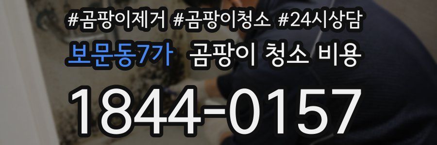 보문동7가 곰팡이 청소 비용