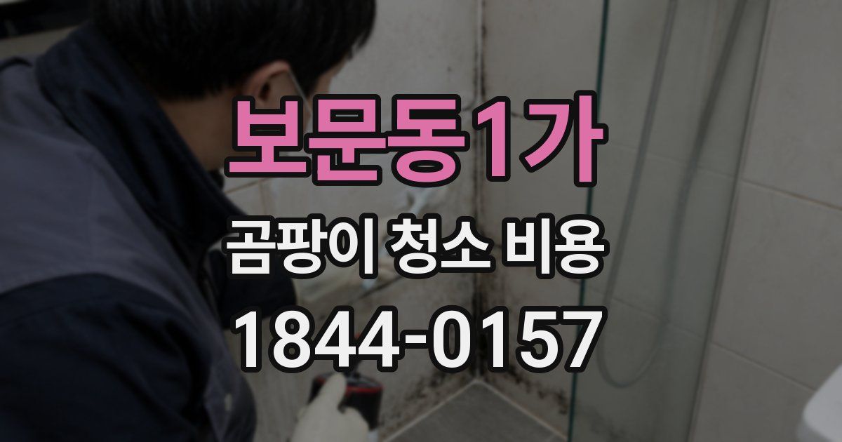 보문동1가 곰팡이 청소 비용
