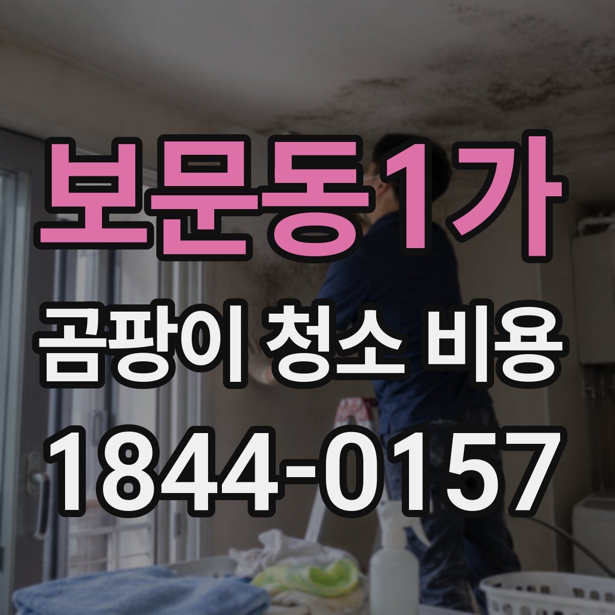 보문동1가 곰팡이 청소 비용