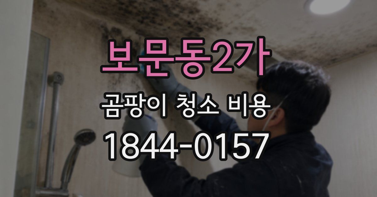 보문동2가 곰팡이 청소 비용
