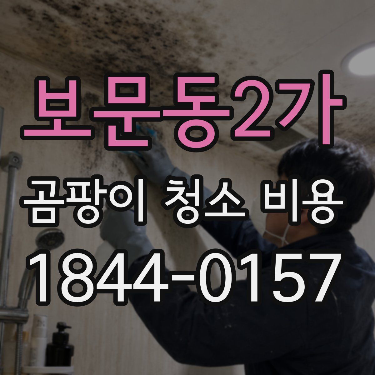 보문동2가 곰팡이 청소 비용