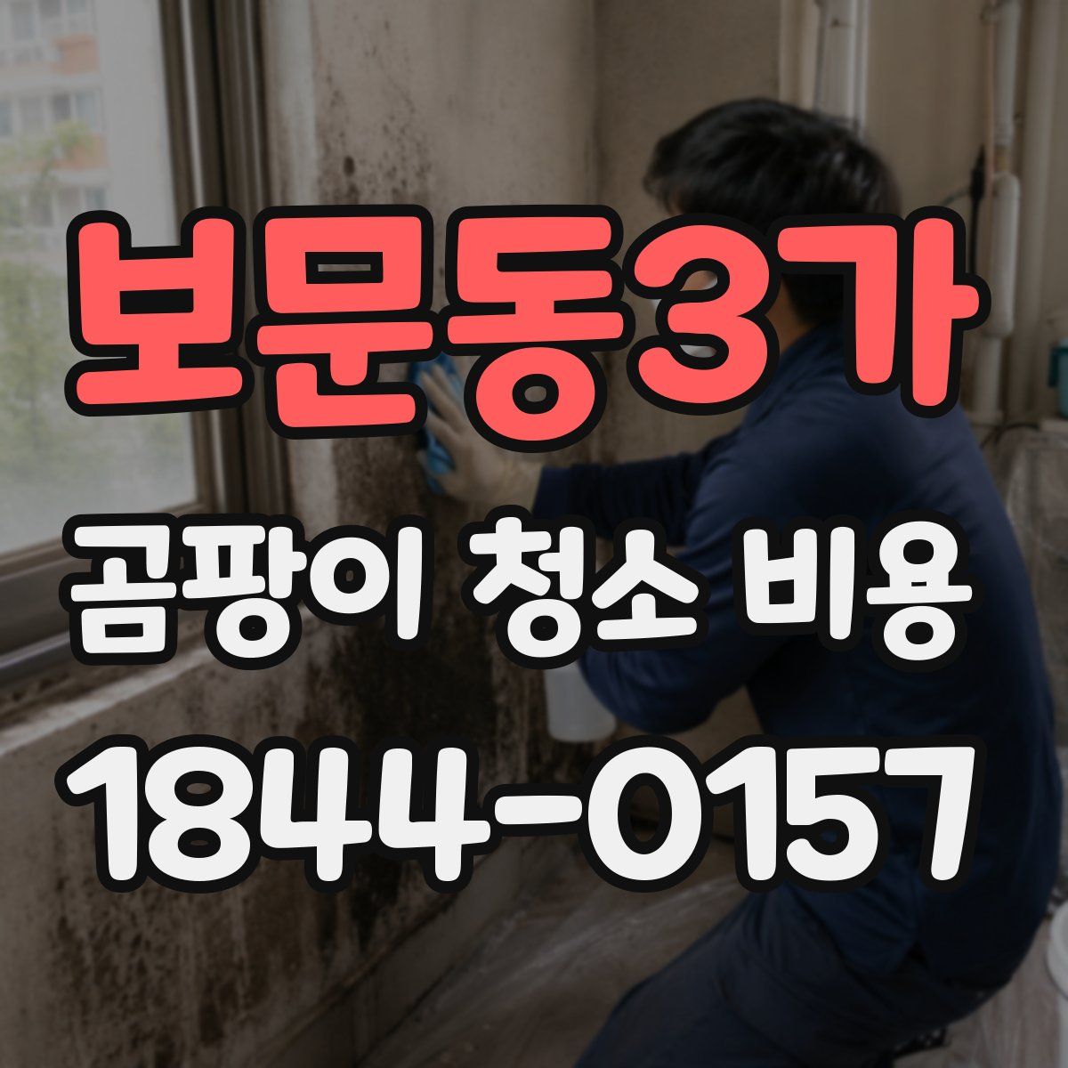 보문동3가 곰팡이 청소 비용