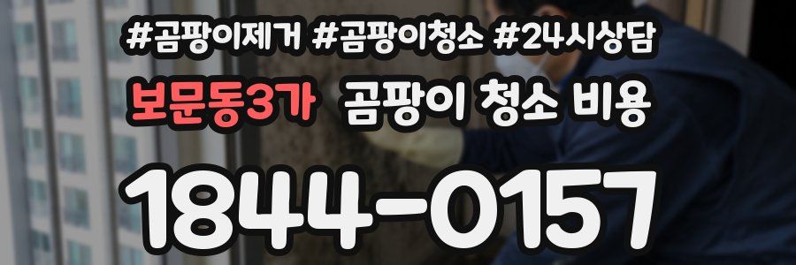 보문동3가 곰팡이 청소 비용