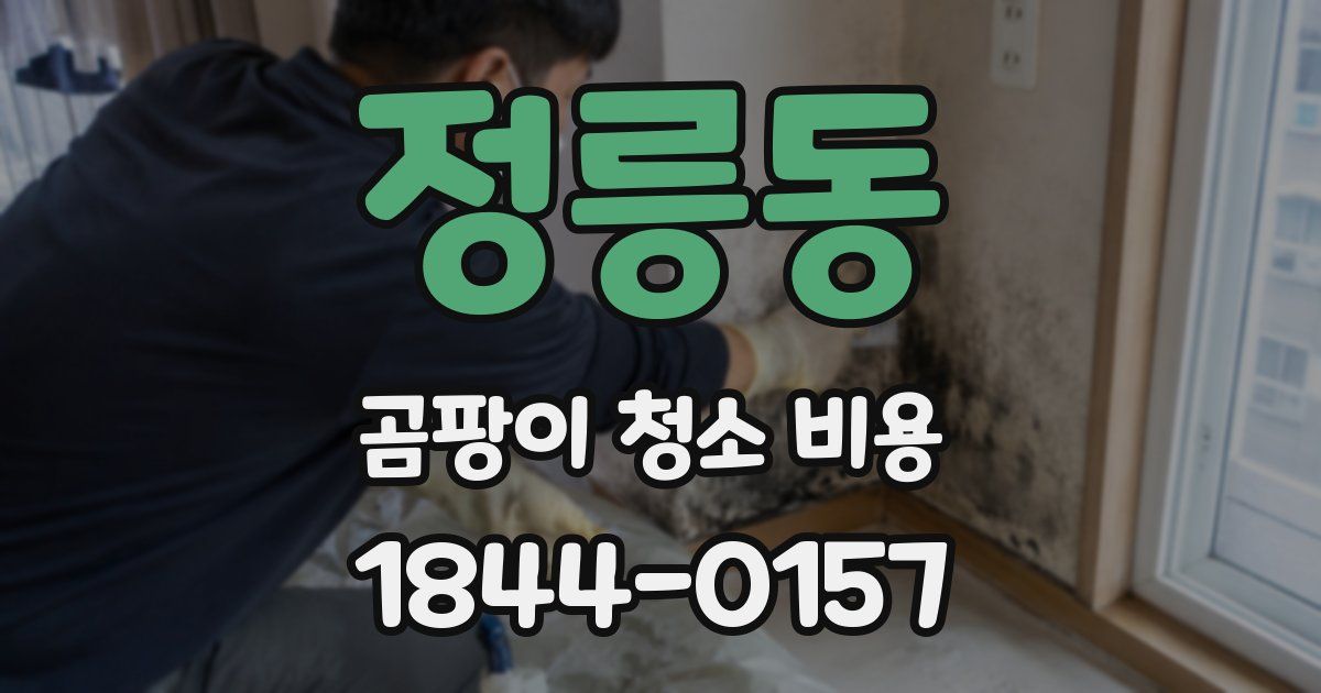 정릉동 곰팡이 청소 비용