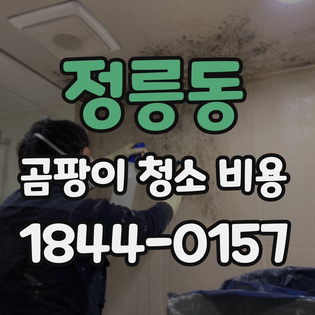 정릉동 곰팡이 청소 비용