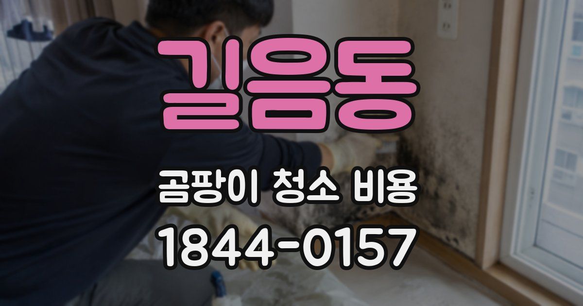 길음동 곰팡이 청소 비용