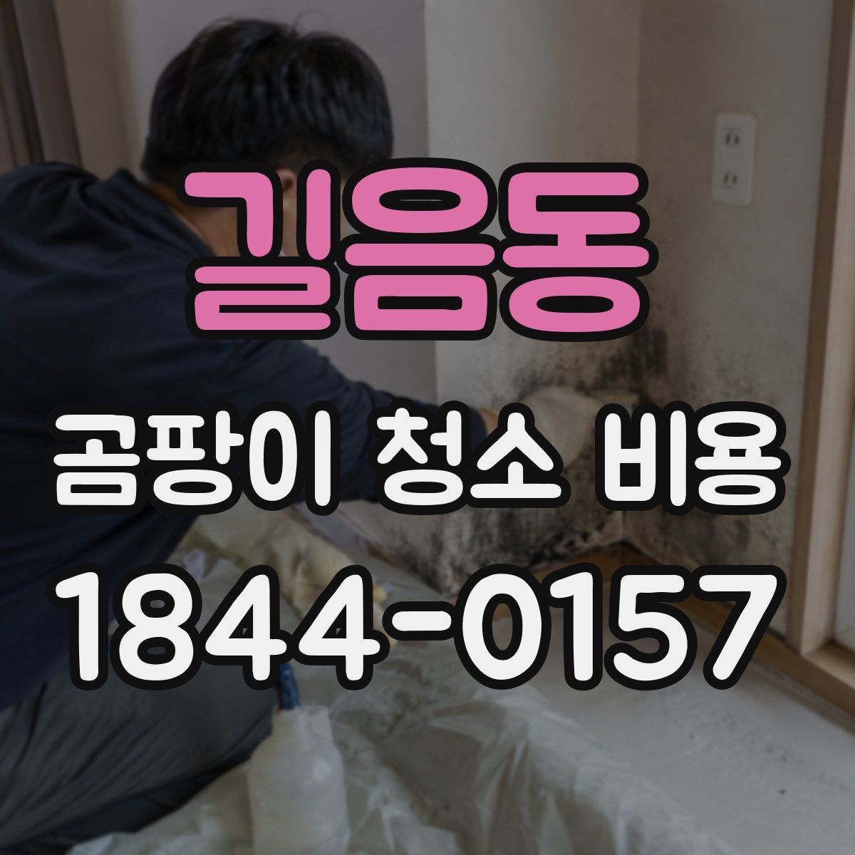 길음동 곰팡이 청소 비용