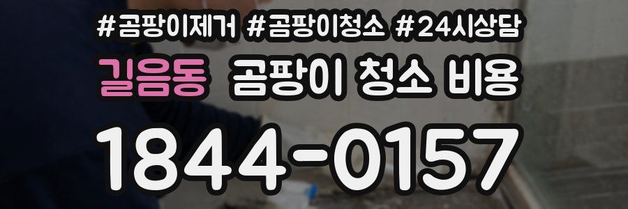 길음동 곰팡이 청소 비용