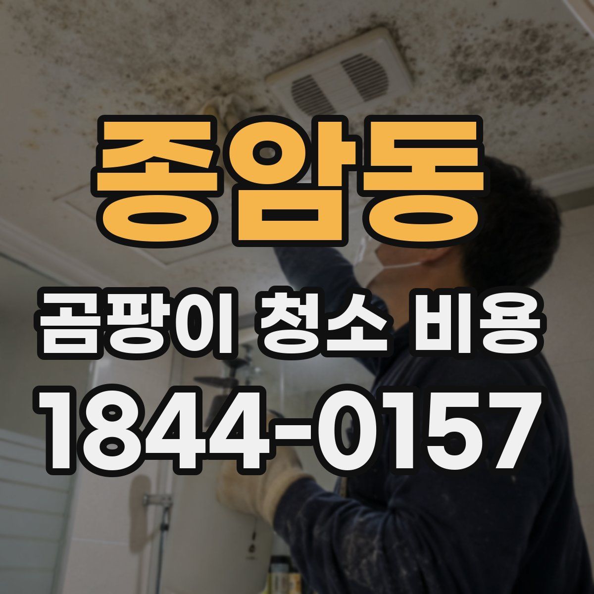 종암동 곰팡이 청소 비용
