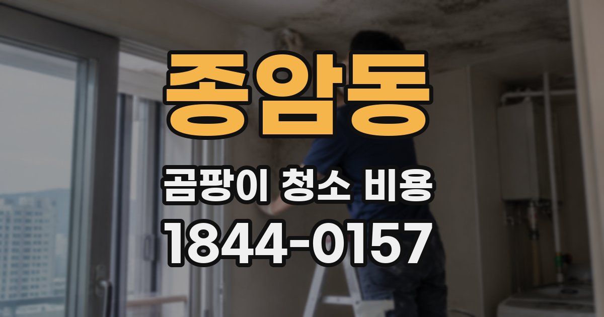 종암동 곰팡이 청소 비용