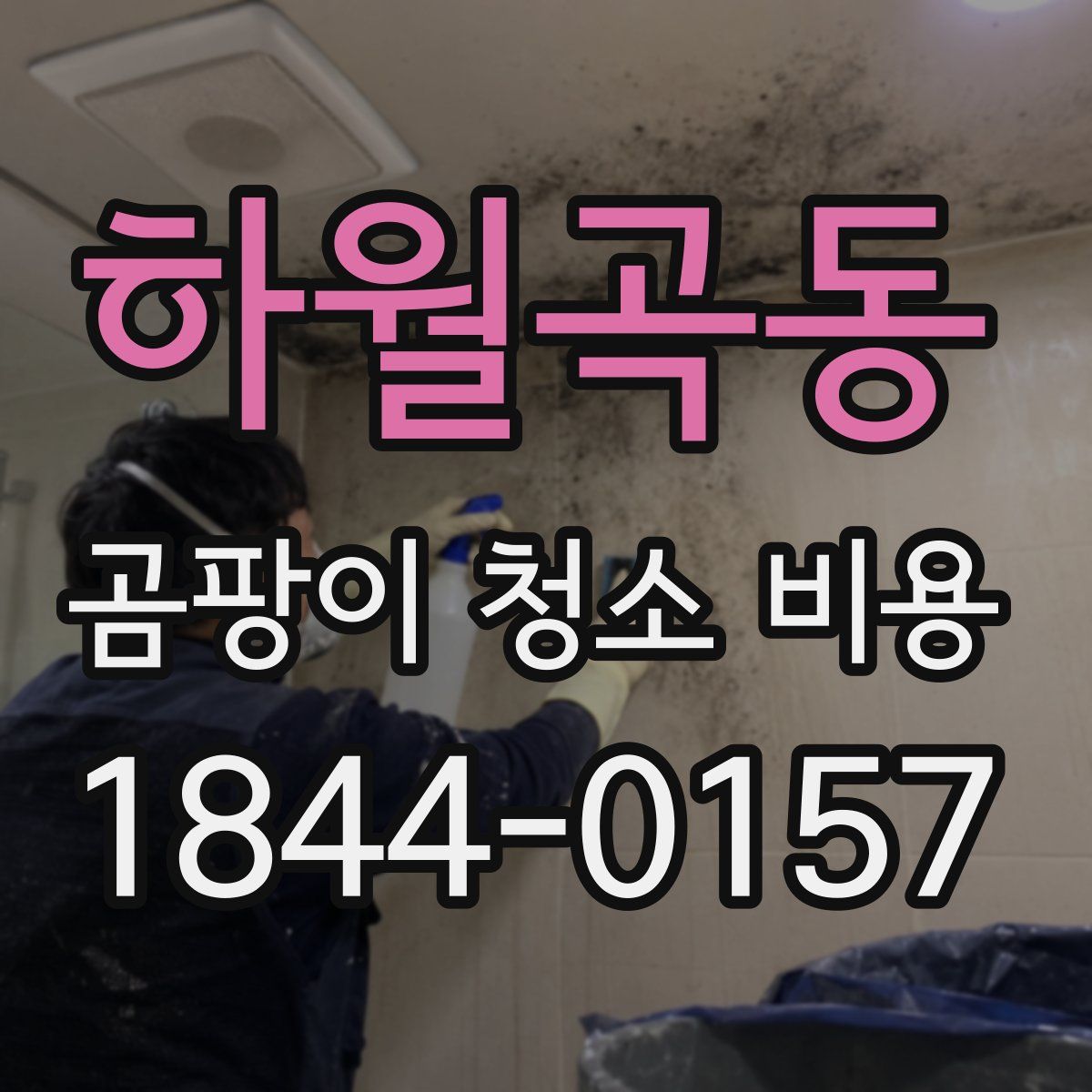 하월곡동 곰팡이 청소 비용