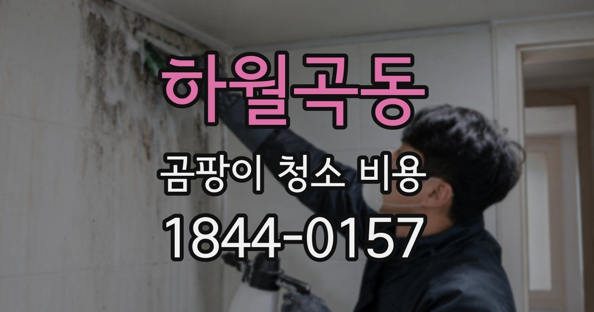 하월곡동 곰팡이 청소 비용