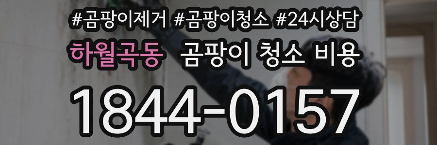 하월곡동 곰팡이 청소 비용