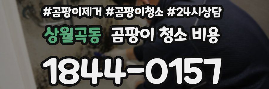 상월곡동 곰팡이 청소 비용