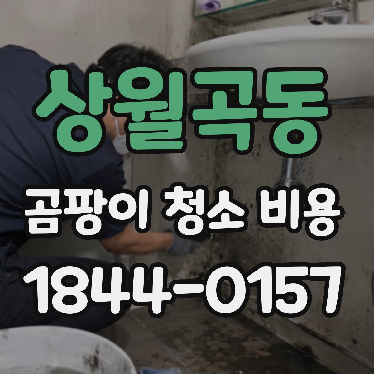 상월곡동 곰팡이 청소 비용