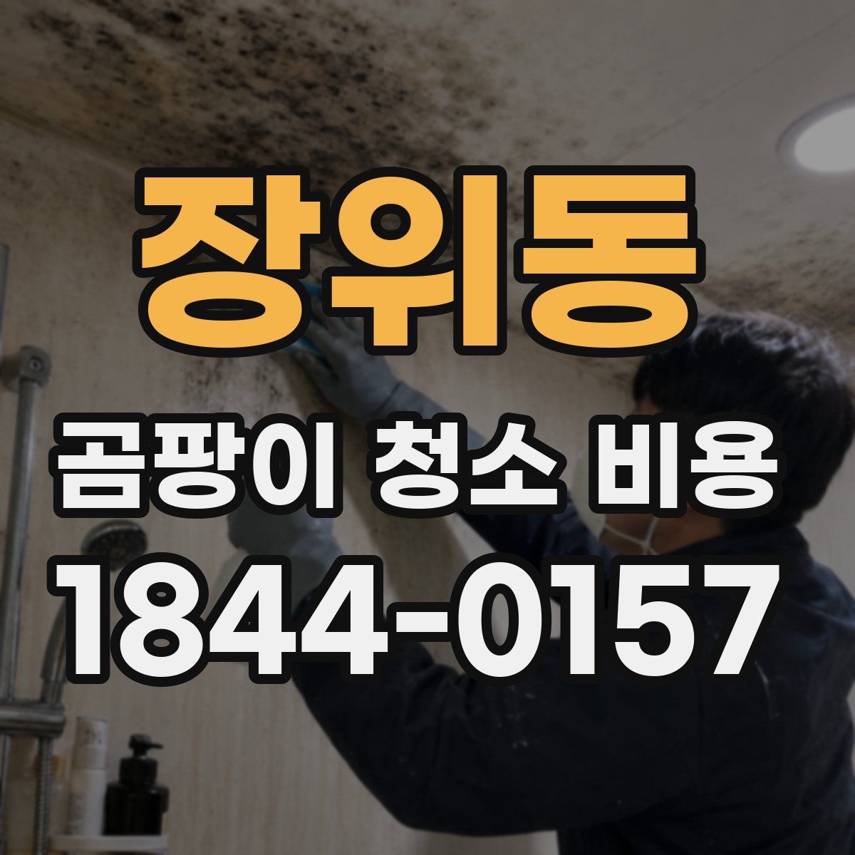 장위동 곰팡이 청소 비용