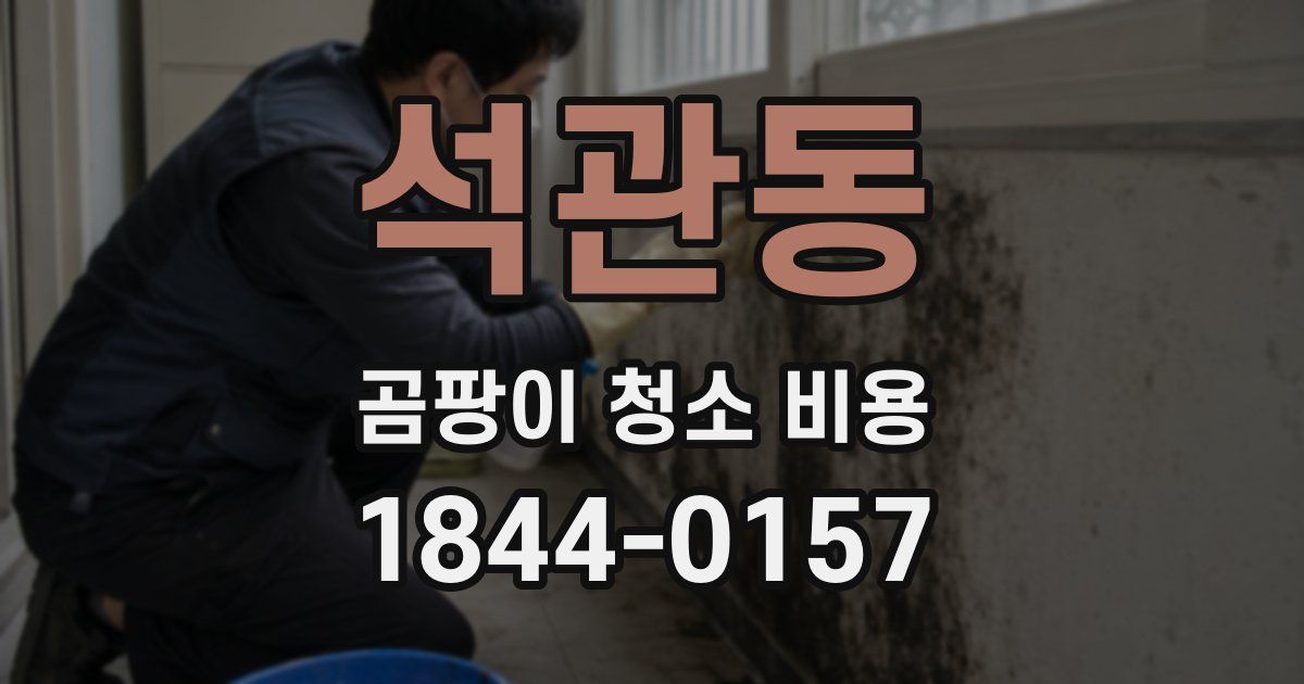 석관동 곰팡이 청소 비용