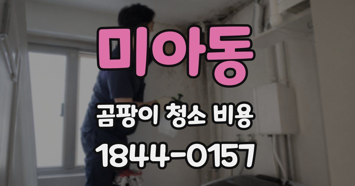 미아동 곰팡이 청소 비용